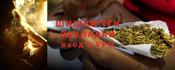 гидра Тавда