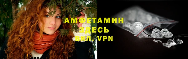 гидра Тавда