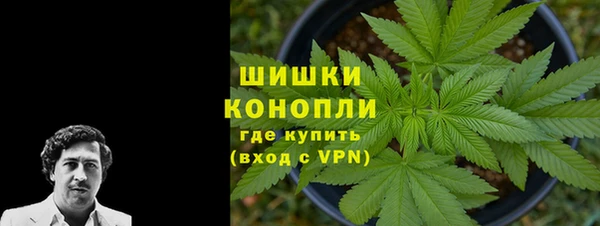 гидра Тавда
