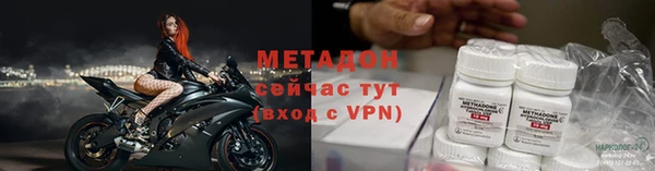 гидра Тавда