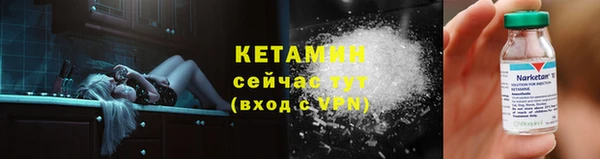 гидра Тавда