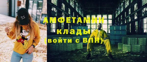 гидра Тавда