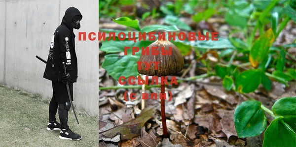 каннабис Тайга