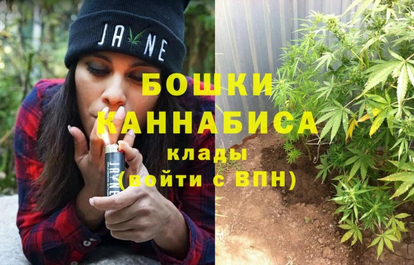 гидра Тавда