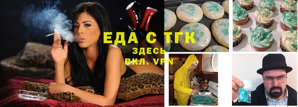 гидра Тавда