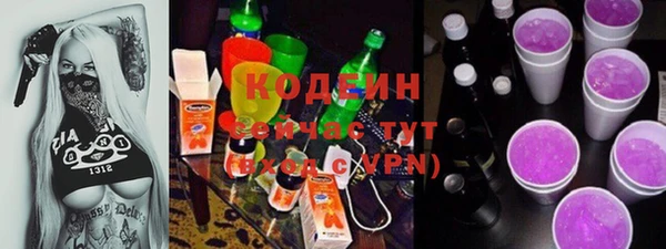 гидра Тавда