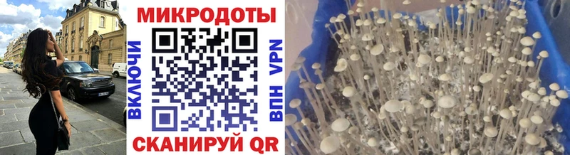 Псилоцибиновые грибы ЛСД  Таруса 